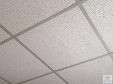 Load image into Gallery viewer, Acoustic Ceiling Board