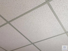 Load image into Gallery viewer, Acoustic Ceiling Board
